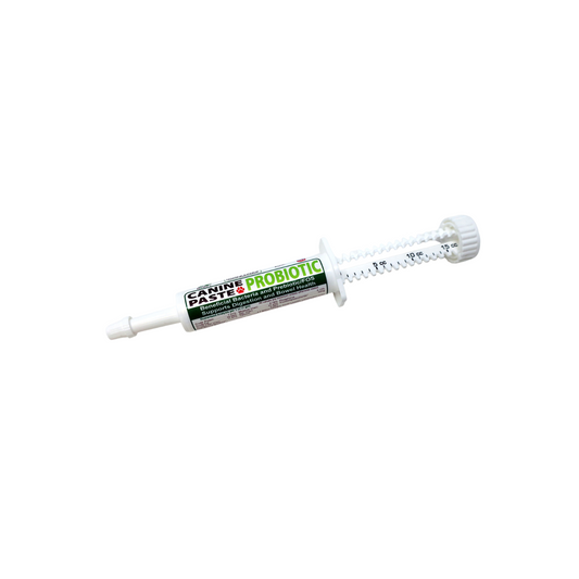 Syringe- style tube of Canine Probiotic Paste used to support dog digestive health and immune function