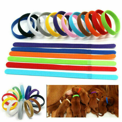 Puppy ID Collars 12 Pack