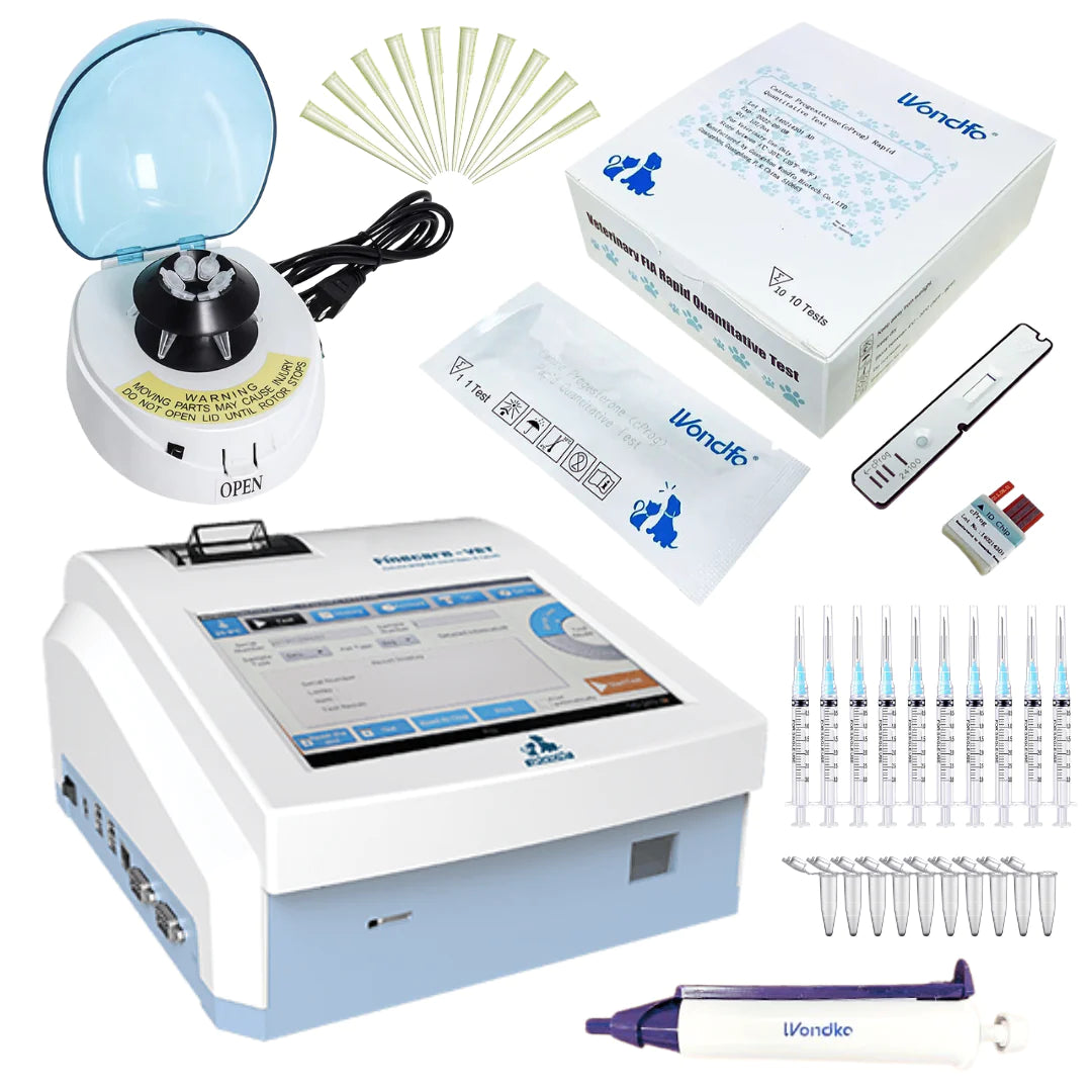 Enhancing Canine Breeding Success with Progesterone Testing: A Vital Step Forward