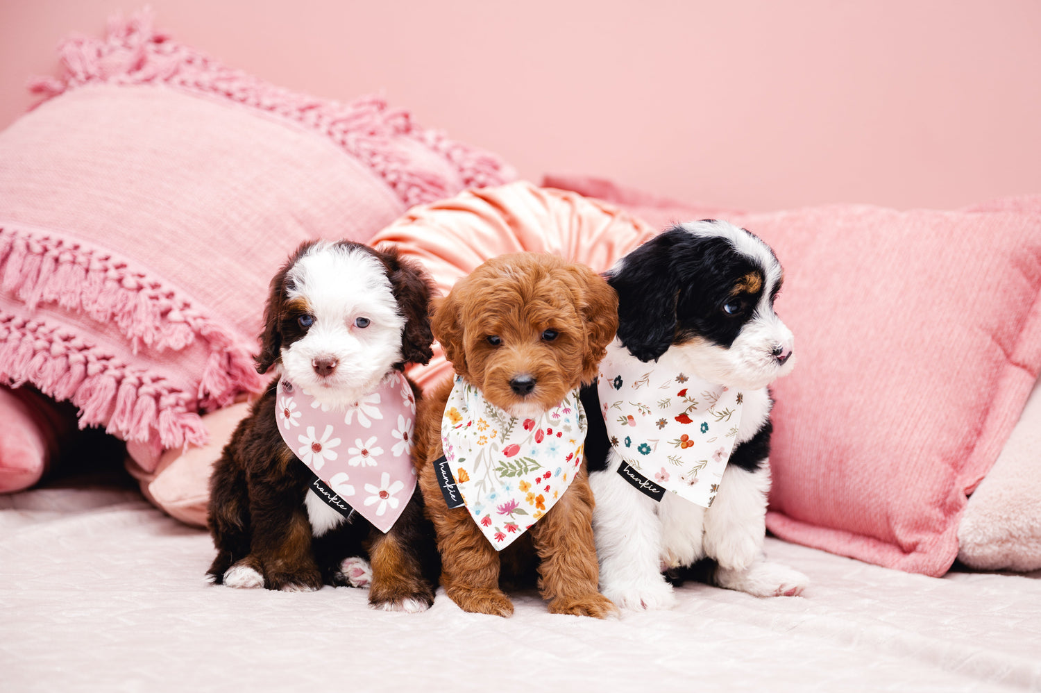 Bandanas