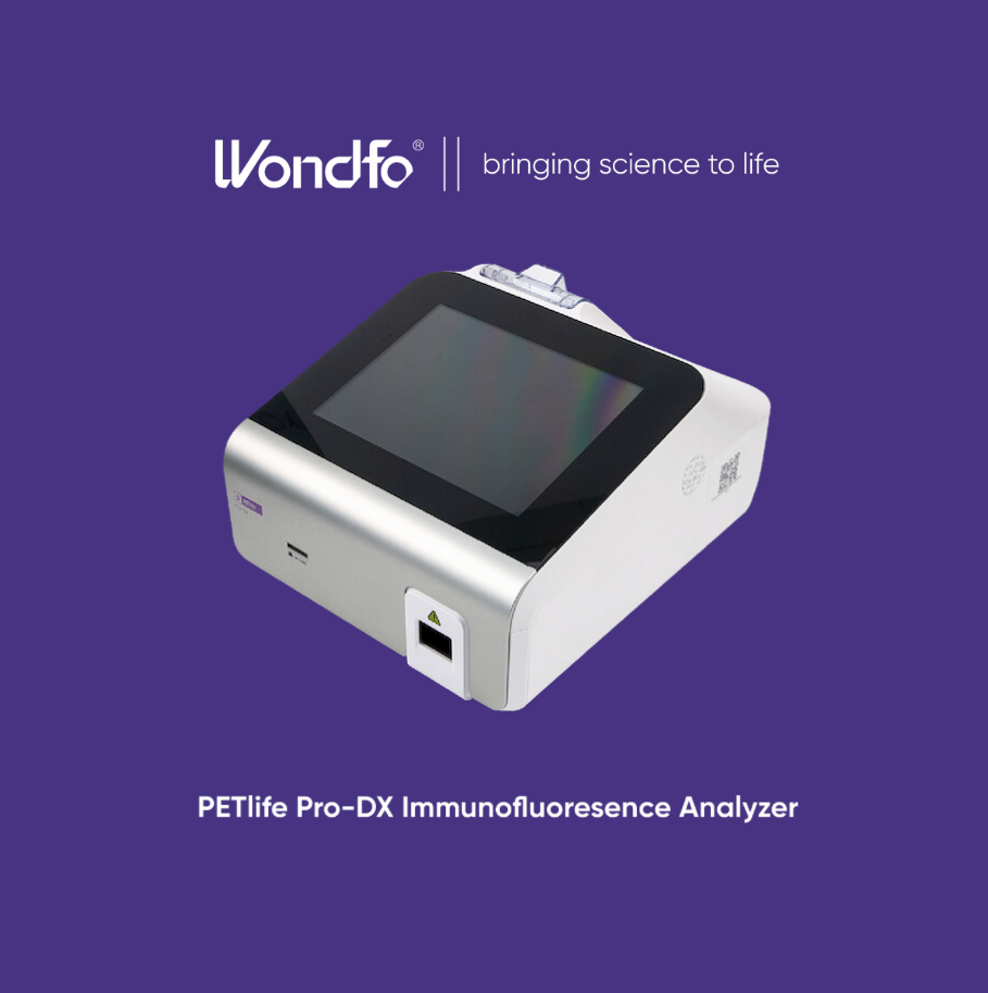Progesterone Testing