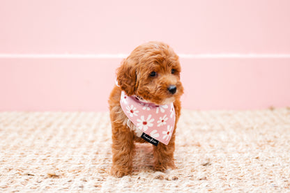 Veronica Vaughn Dog Bandana – Hankie Series