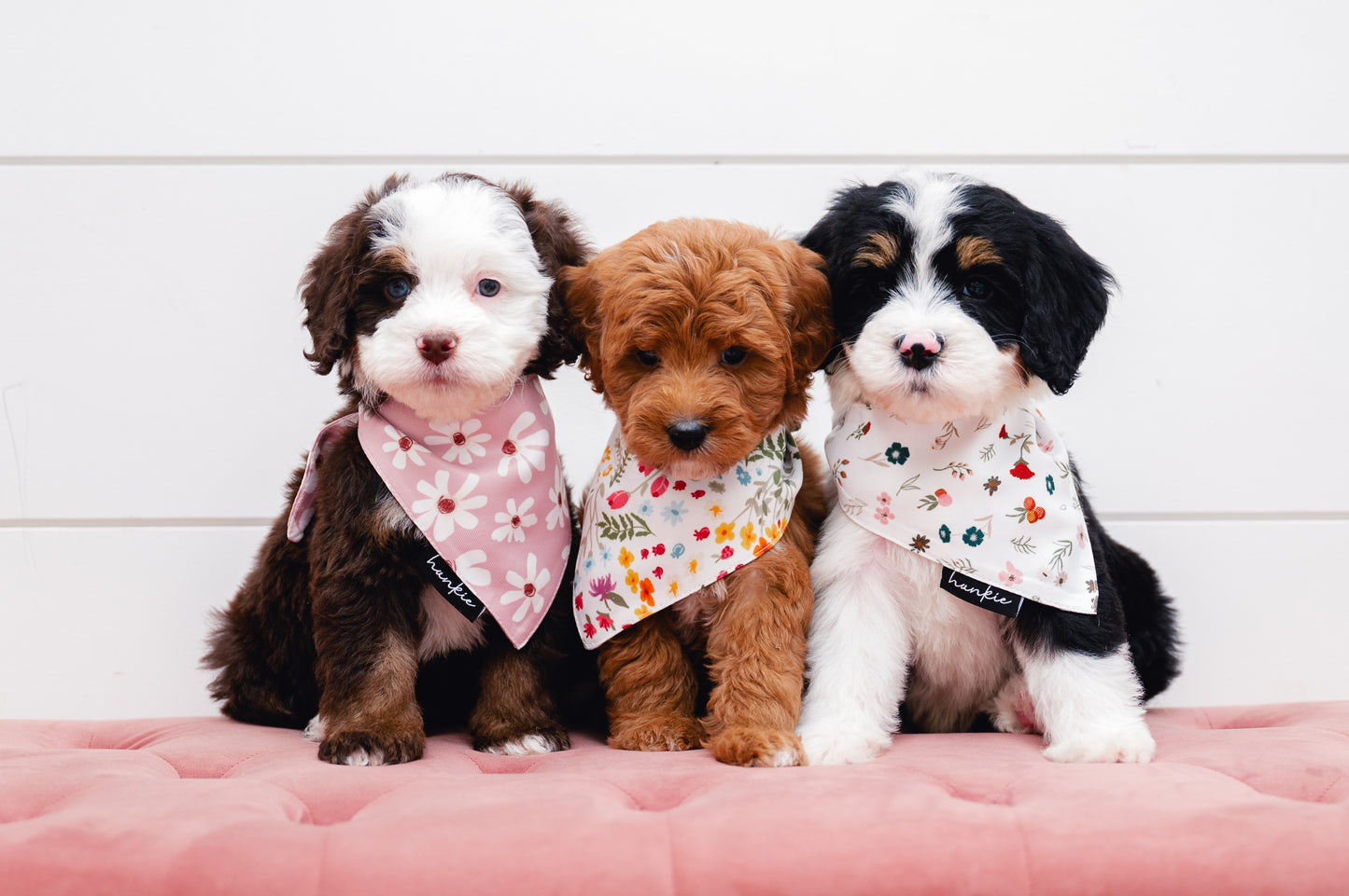 Veronica Vaughn Dog Bandana – Hankie Series