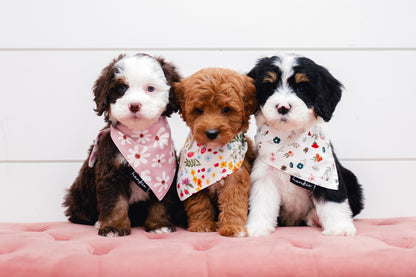 Veronica Vaughn Dog Bandana – Hankie Series