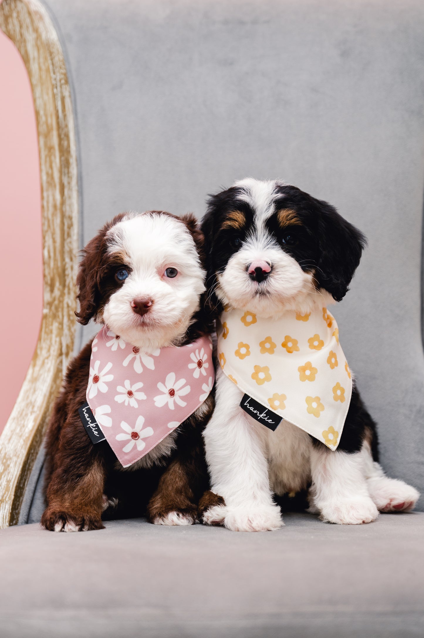 Daisy Dukes Dog Bandana – Hankie Series