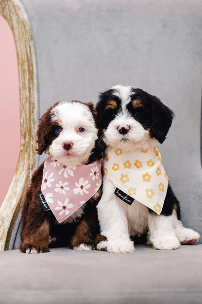 Daisy Dukes Dog Bandana – Hankie Series