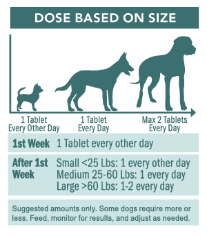 Motion Plus 60 Tablets | Hip & Joint Care for Dogs