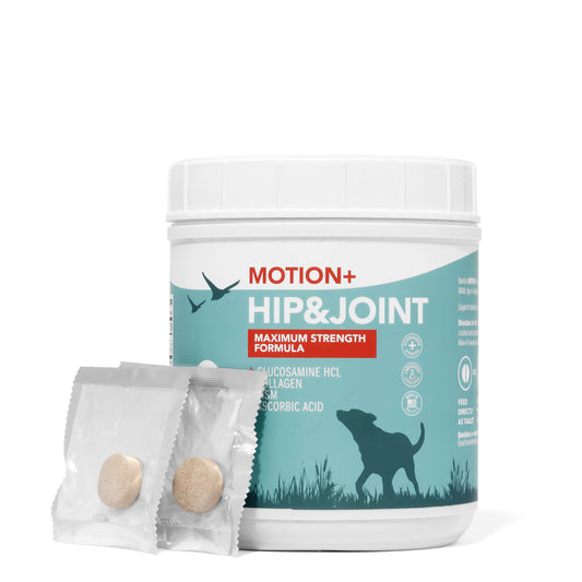 Motion Plus 60 Tablets | Hip & Joint Care for Dogs