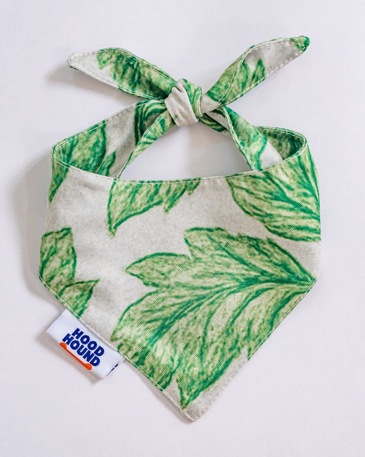 Off the Vine Dog Bandana – Hood Hound Collection 1