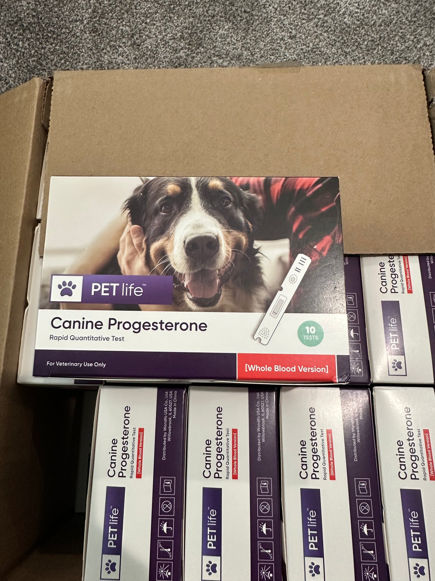 5- Progesterone Whole Blood or Serum/Plasma Tests 10 pack