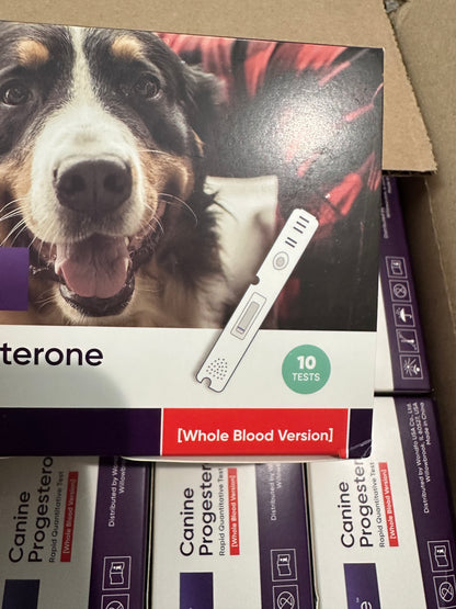 5- Progesterone Whole Blood or Serum/Plasma Tests 10 pack