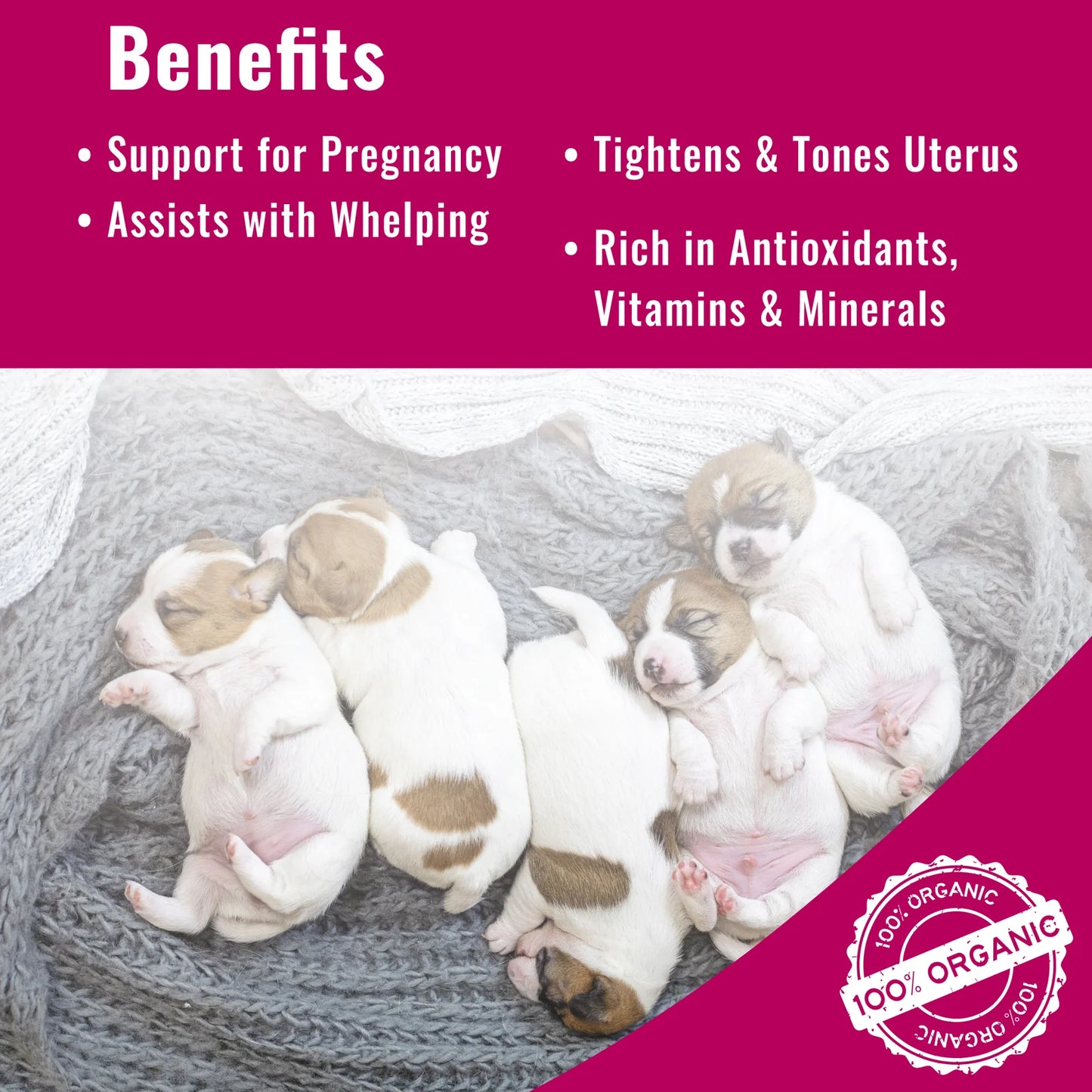 Organic Red Raspberry Leaf Powder - traditional herbal remedy for the symptomatic relief of problems associated with whelping and an aid in the prevention of false pregnancy
