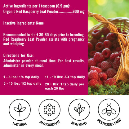 Organic Red Raspberry Leaf Powder - traditional herbal remedy for the symptomatic relief of problems associated with whelping and an aid in the prevention of false pregnancy