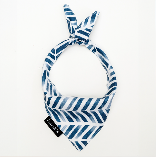 Better Looking Twin Dog Bandana – Hankie Series
