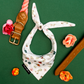 2 - Bandanas