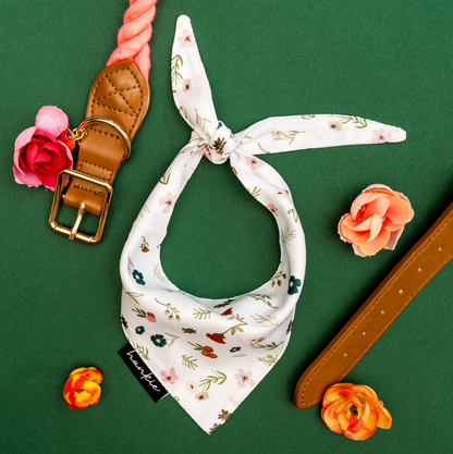 Bandanas