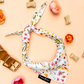 2 - Bandanas