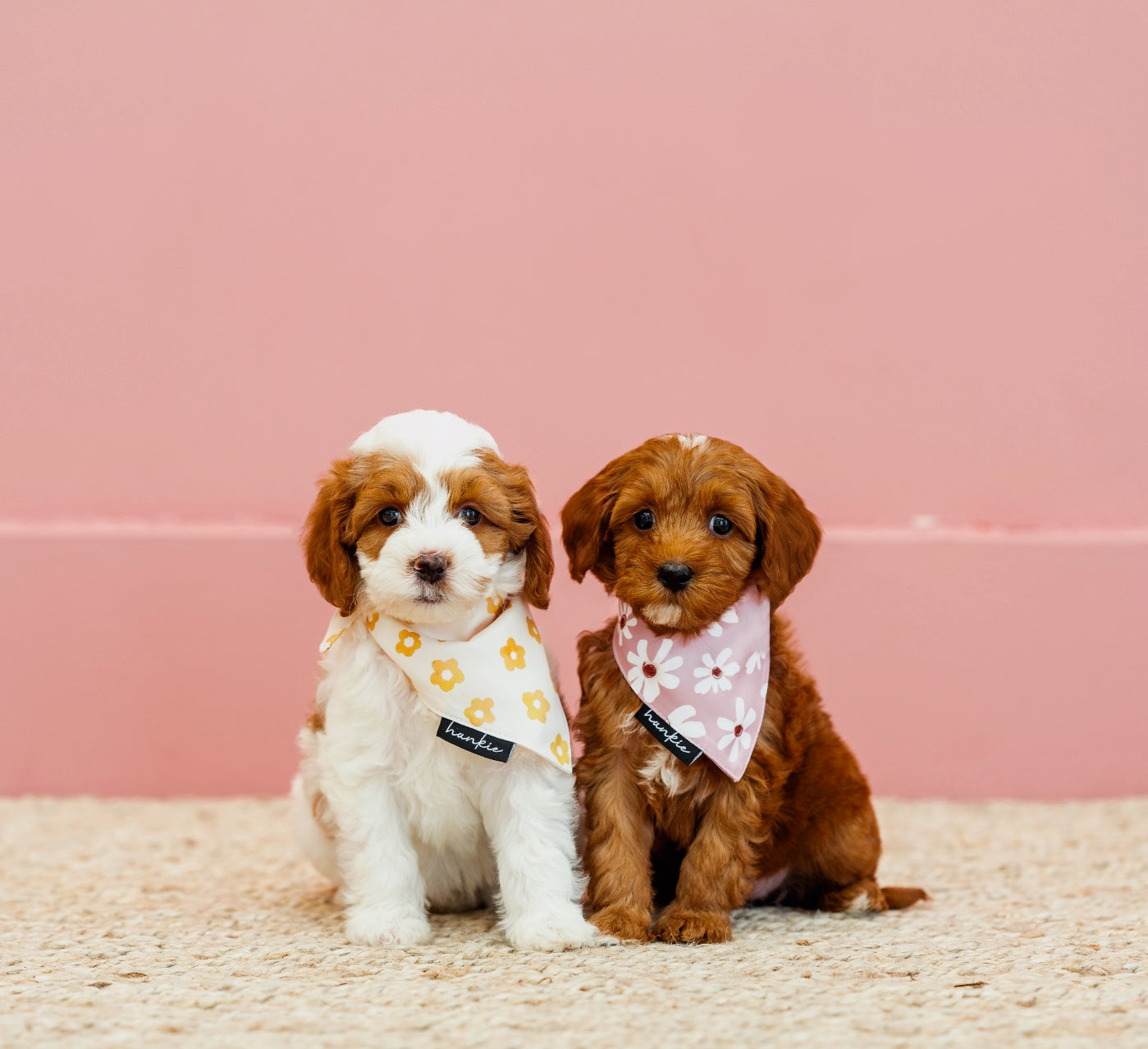 Hankie - Puppy Take Home Bandanas, Bandana, Puppy Bandana