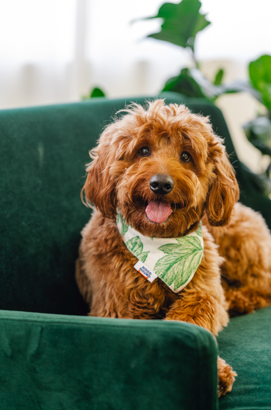 Off the Vine Dog Bandana – Hood Hound Collection 1