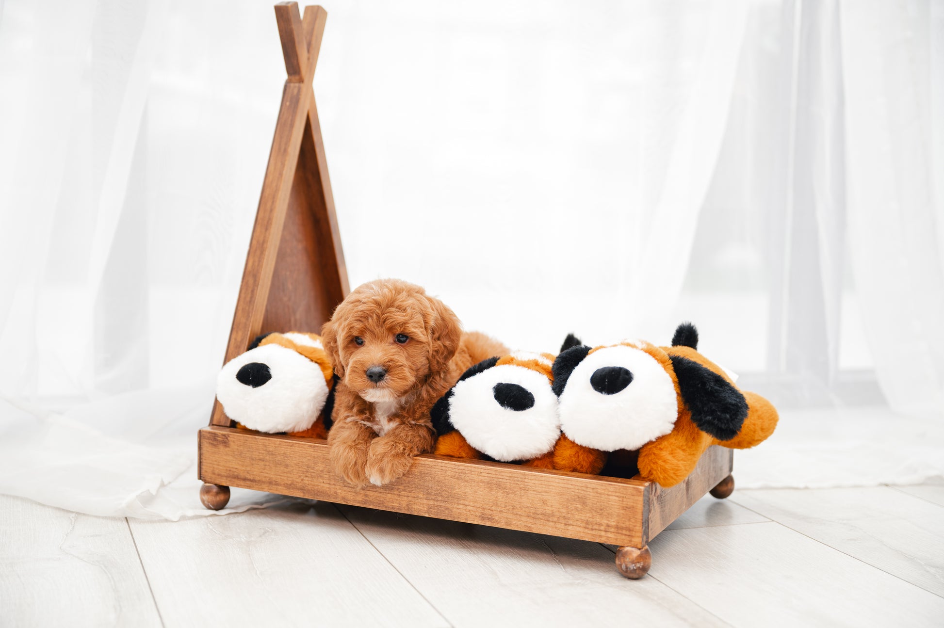 Breeding Empire Puppy Pal heartbeat toy for puppies to ease separation anxiety