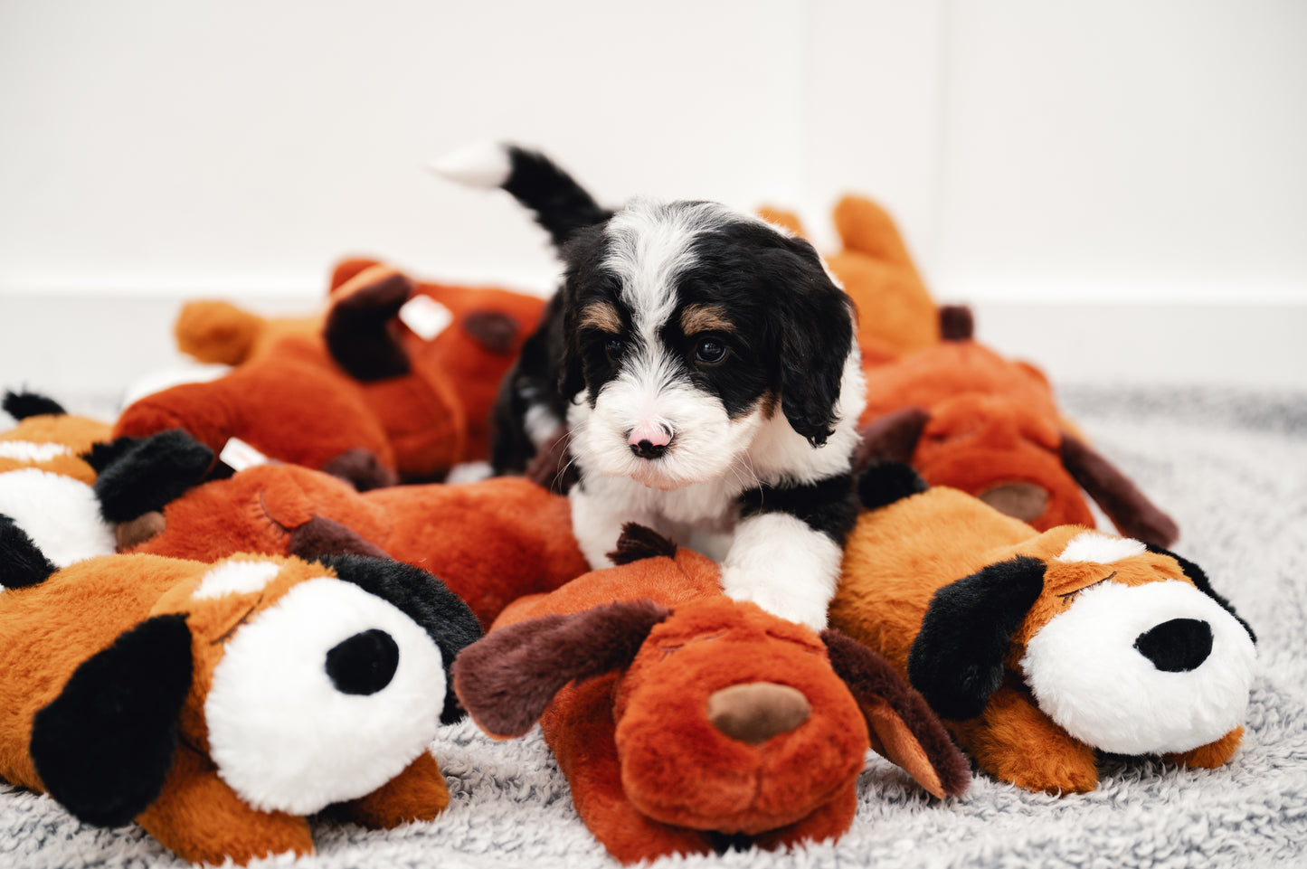 Breeding Empire Puppy Pal heartbeat toy for puppies to ease separation anxiety