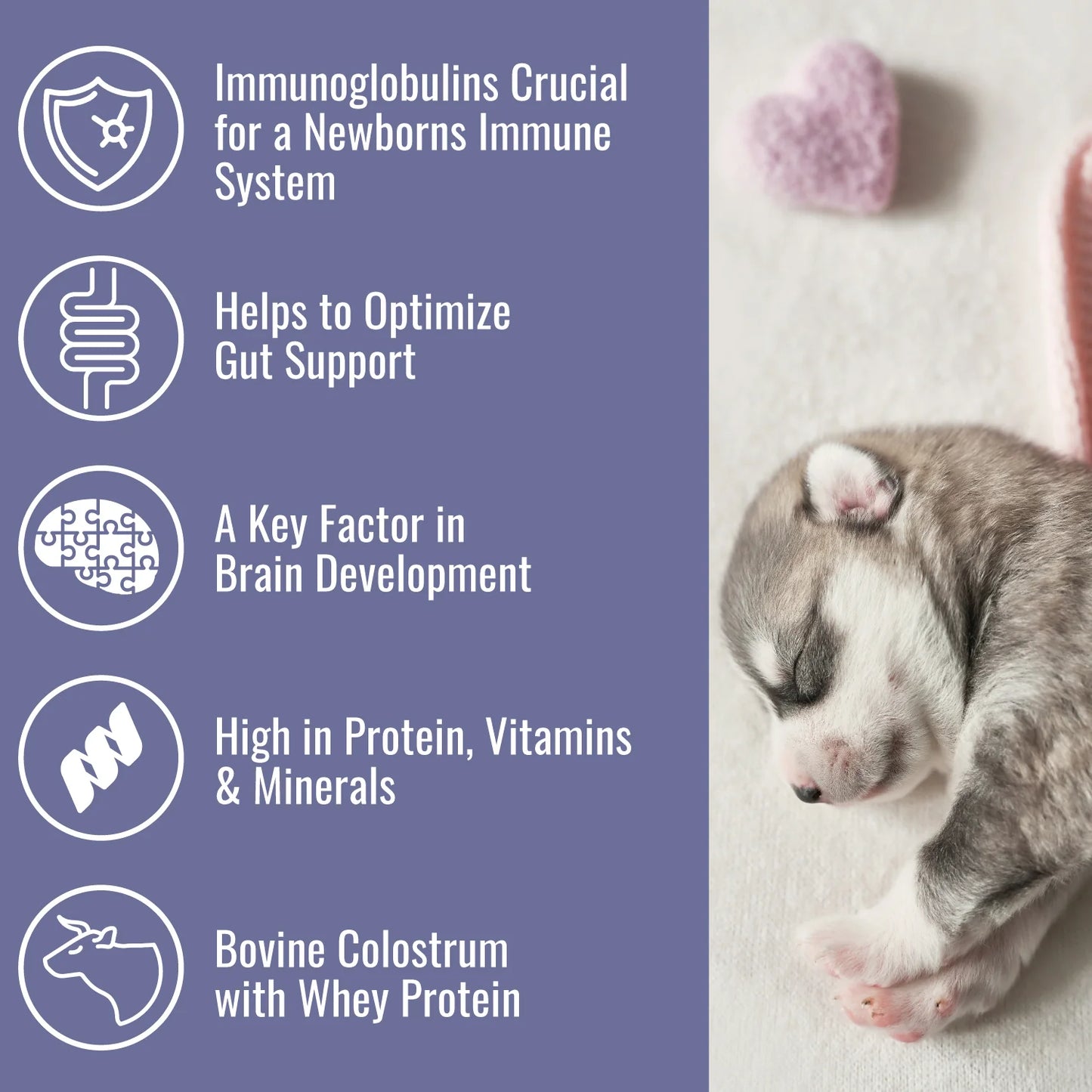 Colostrum