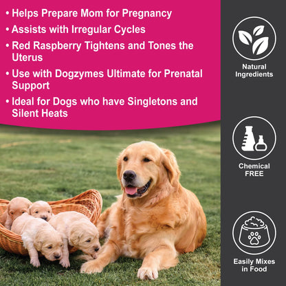 Estrumate - Breeding Supplement
