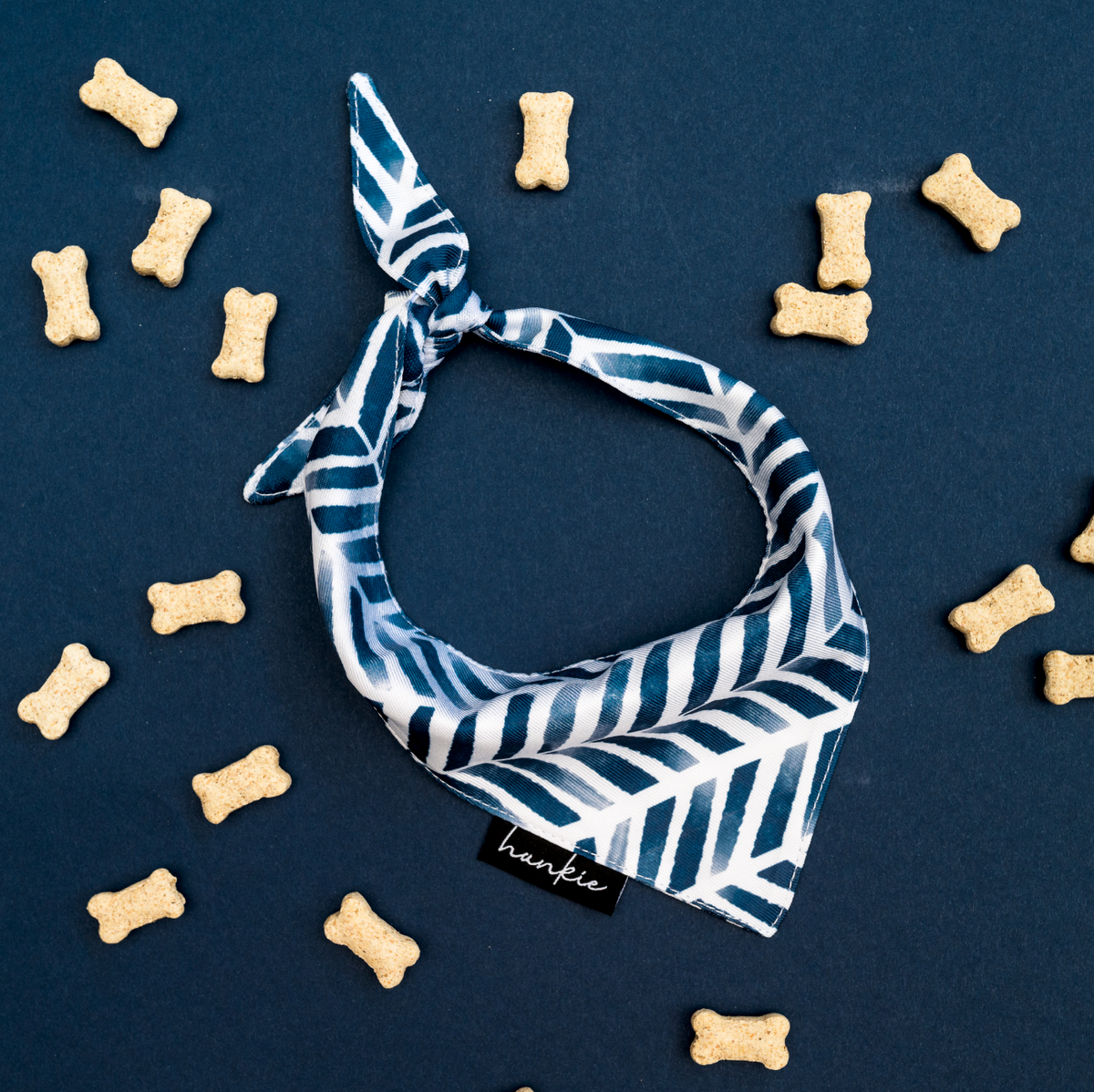 Puppy wearing the Better Looking Twin dog bandana by Hankie