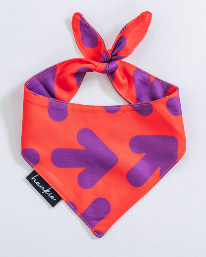 Smells Like Teen Spirit dog bandana by Hankie Series 2 – Nirvana-inspired rock song pattern pet scarf