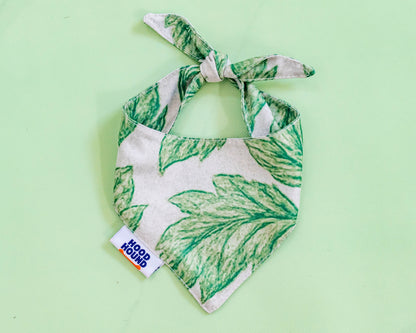 Off The Vine dog bandana by Hood Hound – green tropical leaf pet bandana