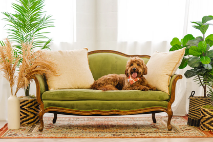 Merlot dog bandana from Hood Hound, stylish accessory for puppies and dogs