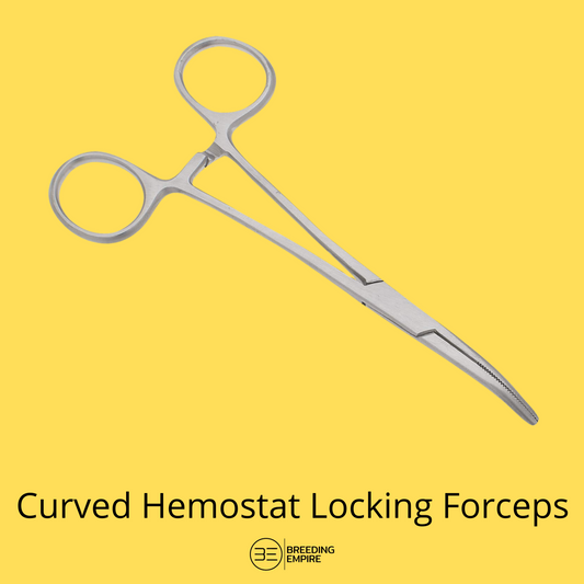 Hemostat Locking Forceps - Curved 5-Inch Stainless Steel